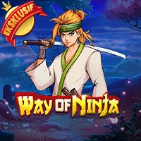 Way of Ninja